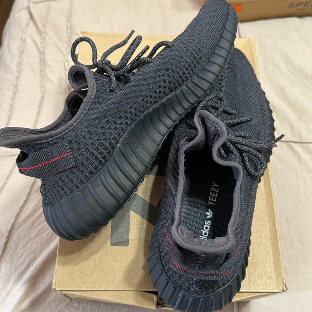 Yeezy Boost Earth Men’s 11
